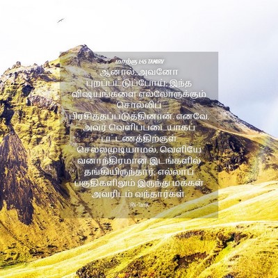 Picture 04 - மாற்கு 1:45 TAMIRV - ஆனால், அவனோ - Bible Verse Picture