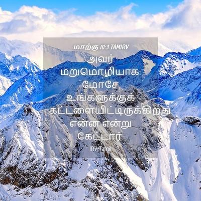 Picture 04 - மாற்கு 10:3 TAMIRV - அவர் மறுமொழியாக: - Bible Verse Picture