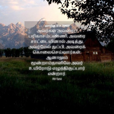 Picture 04 - மாற்கு 10:34 TAMIRV - அவர்கள் அவரைப் - Bible Verse Picture