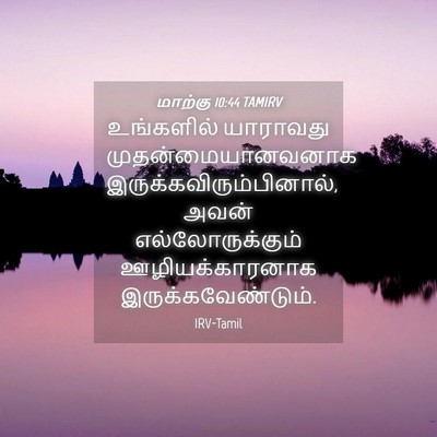 Picture 04 - மாற்கு 10:44 TAMIRV - உங்களில் யாராவது - Bible Verse Picture