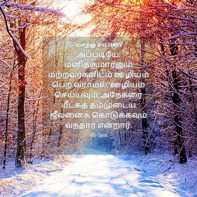 Picture 04 - மாற்கு 10:45 TAMIRV - அப்படியே, - Bible Verse Picture
