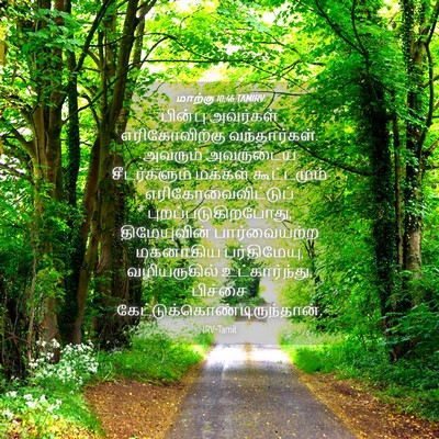 Picture 04 - மாற்கு 10:46 TAMIRV - பின்பு அவர்கள் - Bible Verse Picture