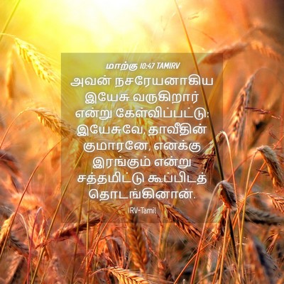 Picture 04 - மாற்கு 10:47 TAMIRV - அவன் நசரேயனாகிய - Bible Verse Picture