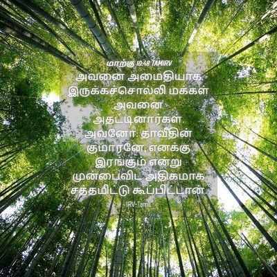 Picture 04 - மாற்கு 10:48 TAMIRV - அவனை அமைதியாக - Bible Verse Picture