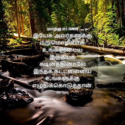 Picture 04 - மாற்கு 10:5 TAMIRV - இயேசு அவர்களுக்கு - Bible Verse Picture