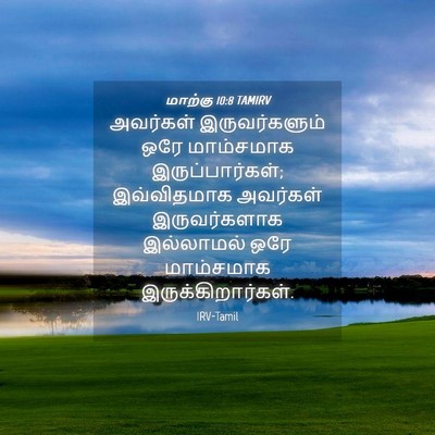 Picture 04 - மாற்கு 10:8 TAMIRV - அவர்கள் - Bible Verse Picture