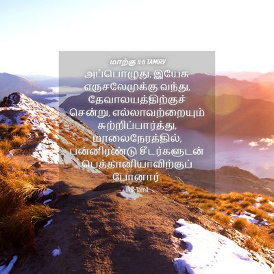 Picture 04 - மாற்கு 11:11 TAMIRV - அப்பொழுது, இயேசு - Bible Verse Picture