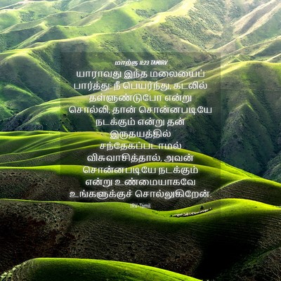 Picture 04 - மாற்கு 11:23 TAMIRV - யாராவது இந்த - Bible Verse Picture