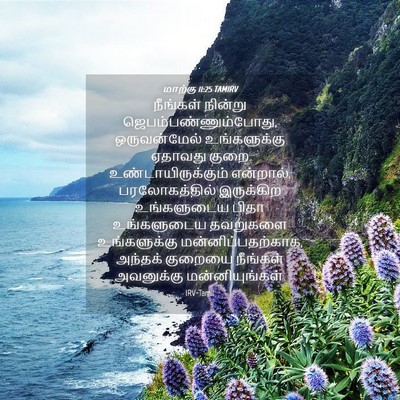Picture 04 - மாற்கு 11:25 TAMIRV - நீங்கள் நின்று - Bible Verse Picture