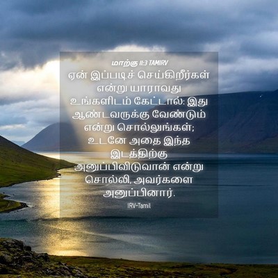 Picture 04 - மாற்கு 11:3 TAMIRV - ஏன் இப்படிச் - Bible Verse Picture