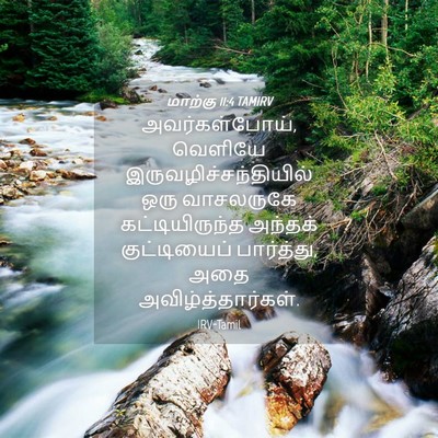 Picture 04 - மாற்கு 11:4 TAMIRV - அவர்கள்போய், - Bible Verse Picture