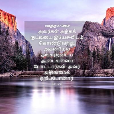 Picture 04 - மாற்கு 11:7 TAMIRV - அவர்கள் அந்தக் - Bible Verse Picture