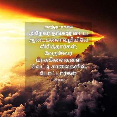 Picture 04 - மாற்கு 11:8 TAMIRV - அநேகர் தங்களுடைய - Bible Verse Picture