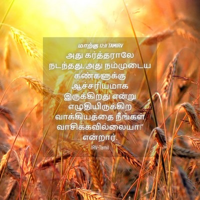 Picture 04 - மாற்கு 12:11 TAMIRV - அது கர்த்தராலே - Bible Verse Picture