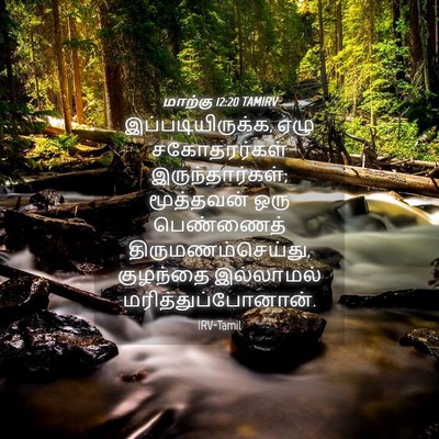Picture 04 - மாற்கு 12:20 TAMIRV - இப்படியிருக்க, - Bible Verse Picture