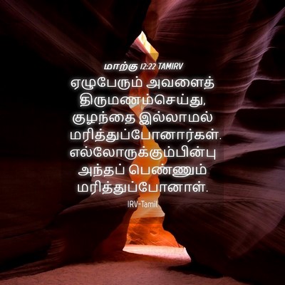 Picture 04 - மாற்கு 12:22 TAMIRV - ஏழுபேரும் அவளைத் - Bible Verse Picture