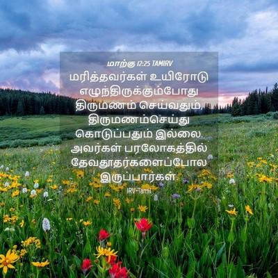 Picture 04 - மாற்கு 12:25 TAMIRV - மரித்தவர்கள் - Bible Verse Picture