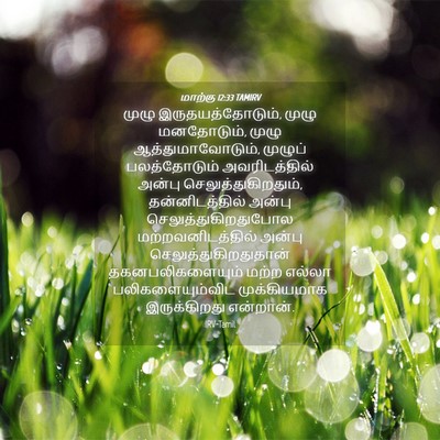 Picture 04 - மாற்கு 12:33 TAMIRV - முழு - Bible Verse Picture