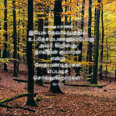 Picture 04 - மாற்கு 12:35 TAMIRV - இயேசு - Bible Verse Picture