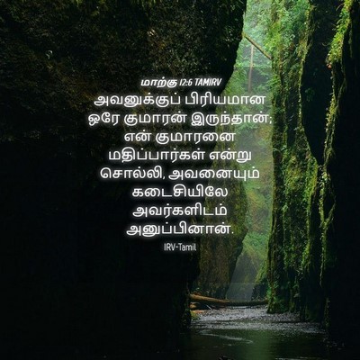 Picture 04 - மாற்கு 12:6 TAMIRV - அவனுக்குப் - Bible Verse Picture