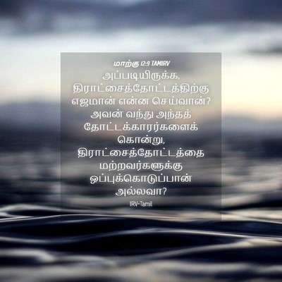 Picture 04 - மாற்கு 12:9 TAMIRV - அப்படியிருக்க, - Bible Verse Picture