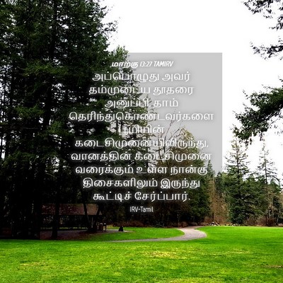 Picture 04 - மாற்கு 13:27 TAMIRV - அப்பொழுது அவர் - Bible Verse Picture