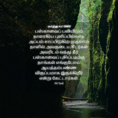 Picture 04 - மாற்கு 14:12 TAMIRV - பஸ்காவைப் - Bible Verse Picture