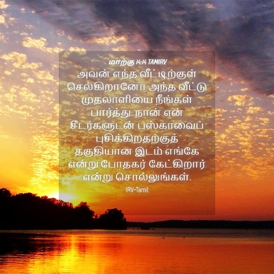 Picture 04 - மாற்கு 14:14 TAMIRV - அவன் எந்த - Bible Verse Picture
