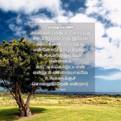 Picture 04 - மாற்கு 14:18 TAMIRV - அவர்கள் பந்தி - Bible Verse Picture
