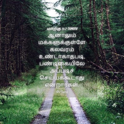 Picture 04 - மாற்கு 14:2 TAMIRV - ஆனாலும் - Bible Verse Picture