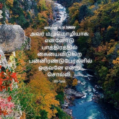 Picture 04 - மாற்கு 14:20 TAMIRV - அவர் மறுமொழியாக: - Bible Verse Picture
