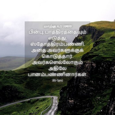 Picture 04 - மாற்கு 14:23 TAMIRV - பின்பு, - Bible Verse Picture