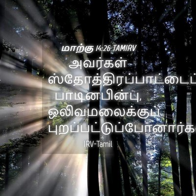 Picture 04 - மாற்கு 14:26 TAMIRV - அவர்கள் - Bible Verse Picture