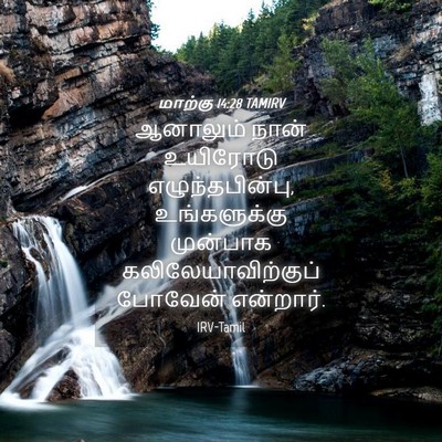 Picture 04 - மாற்கு 14:28 TAMIRV - ஆனாலும் நான் - Bible Verse Picture