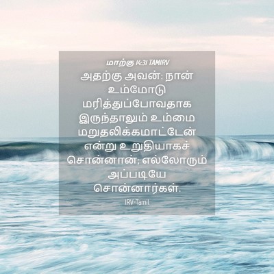 Picture 04 - மாற்கு 14:31 TAMIRV - அதற்கு அவன்: நான் - Bible Verse Picture