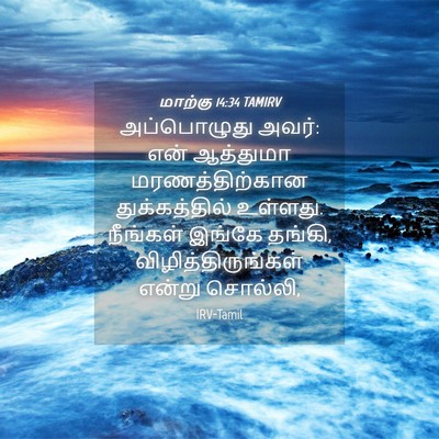 Picture 04 - மாற்கு 14:34 TAMIRV - அப்பொழுது அவர்: - Bible Verse Picture