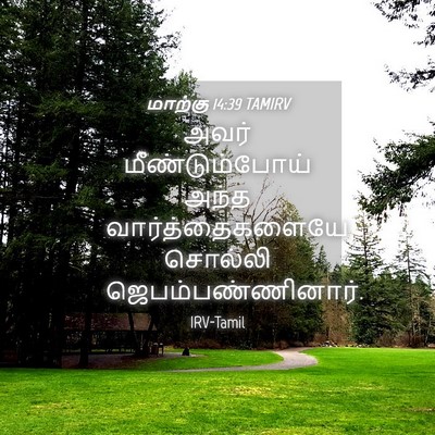 Picture 04 - மாற்கு 14:39 TAMIRV - அவர் மீண்டும்போய் - Bible Verse Picture