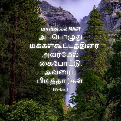 Picture 04 - மாற்கு 14:46 TAMIRV - அப்பொழுது - Bible Verse Picture