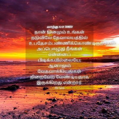 Picture 04 - மாற்கு 14:49 TAMIRV - நான் தினமும் - Bible Verse Picture