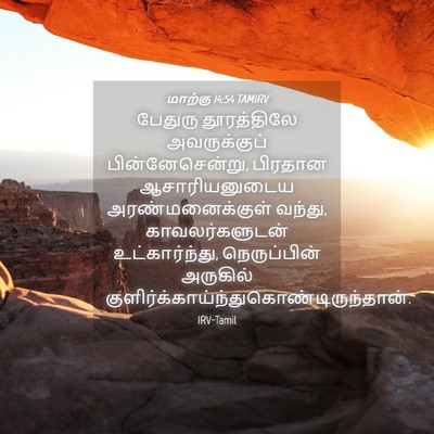 Picture 04 - மாற்கு 14:54 TAMIRV - பேதுரு தூரத்திலே - Bible Verse Picture