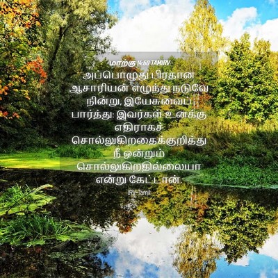 Picture 04 - மாற்கு 14:60 TAMIRV - அப்பொழுது பிரதான - Bible Verse Picture
