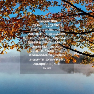 Picture 04 - மாற்கு 14:65 TAMIRV - அப்பொழுது சிலர் - Bible Verse Picture