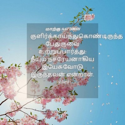 Picture 04 - மாற்கு 14:67 TAMIRV -  - Bible Verse Picture