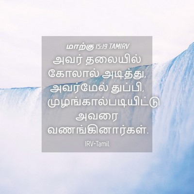 Picture 04 - மாற்கு 15:19 TAMIRV - அவர் தலையில் - Bible Verse Picture