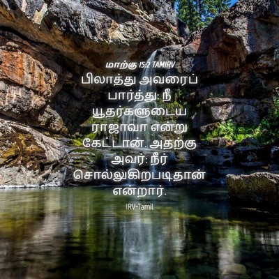 Picture 04 - மாற்கு 15:2 TAMIRV - பிலாத்து அவரைப் - Bible Verse Picture