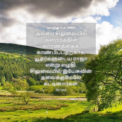 Picture 04 - மாற்கு 15:26 TAMIRV - அவரை சிலுவையில் - Bible Verse Picture