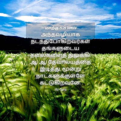 Picture 04 - மாற்கு 15:29 TAMIRV - அந்தவழியாக - Bible Verse Picture
