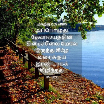 Picture 04 - மாற்கு 15:38 TAMIRV - அப்பொழுது, - Bible Verse Picture