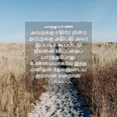 Picture 04 - மாற்கு 15:39 TAMIRV - அவருக்கு எதிரே - Bible Verse Picture