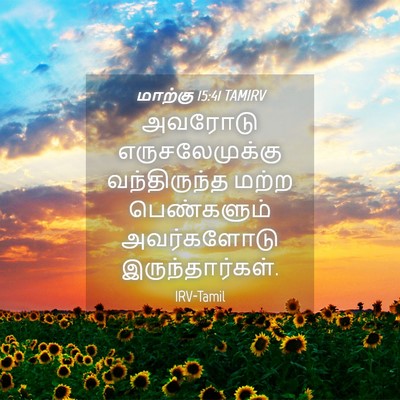 Picture 04 - மாற்கு 15:41 TAMIRV - அவரோடு - Bible Verse Picture